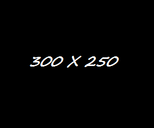 300 X 250_Big Button